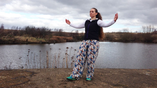 Tai chi Qigong Shibashi with music