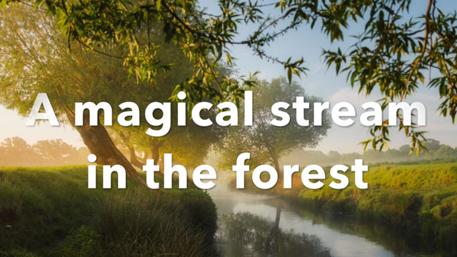 A magical stream in the forest – meditation